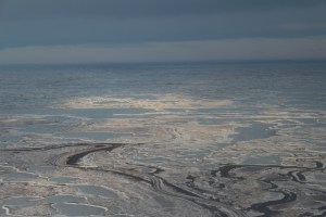 A glimmer of hope.  A ray of light.  