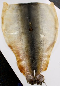 The beginning product