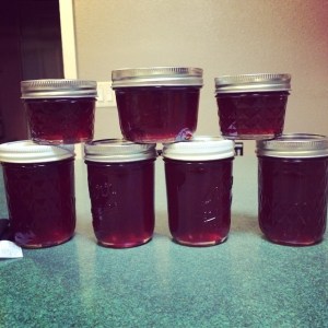 fireweed with cinnamon & all spiace