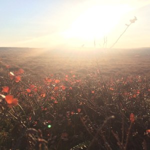 living in the moment